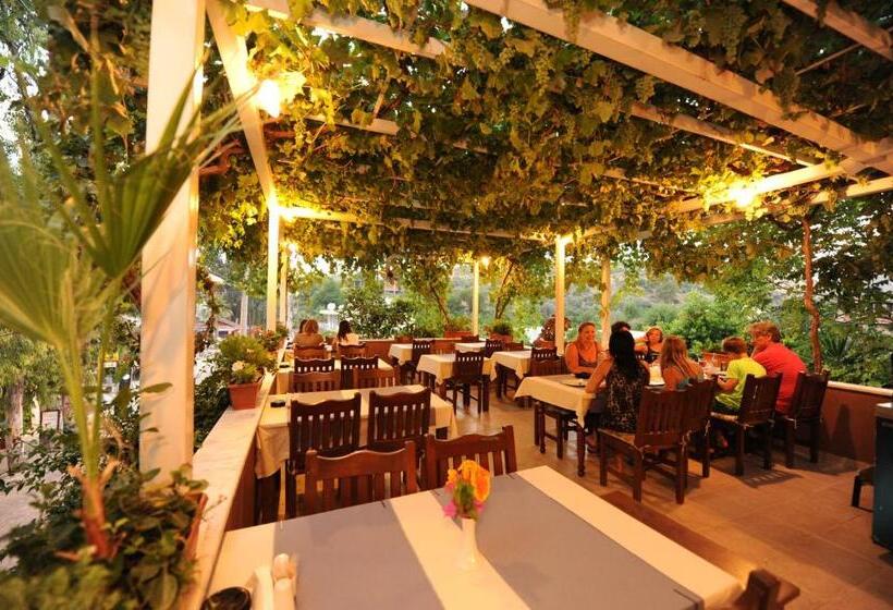 בית מלון כפרי Golden Pension