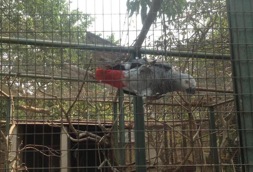 Pamo Hotel And Restaurants