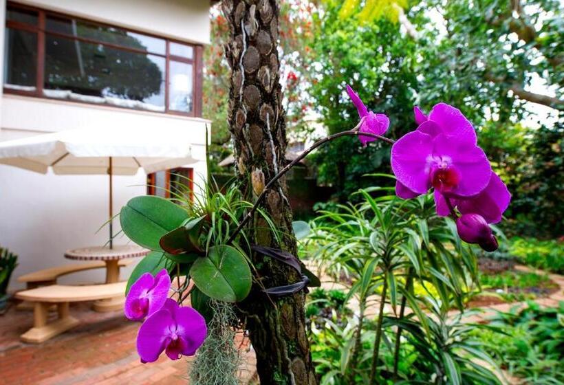 Oliveroom Self Catering And B&b