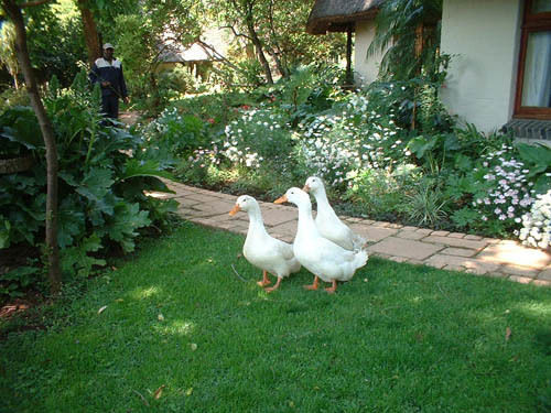 膳宿费 Pleasant Places Country Guest House