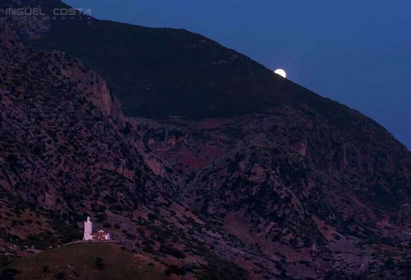 膳宿费 Riad Antek