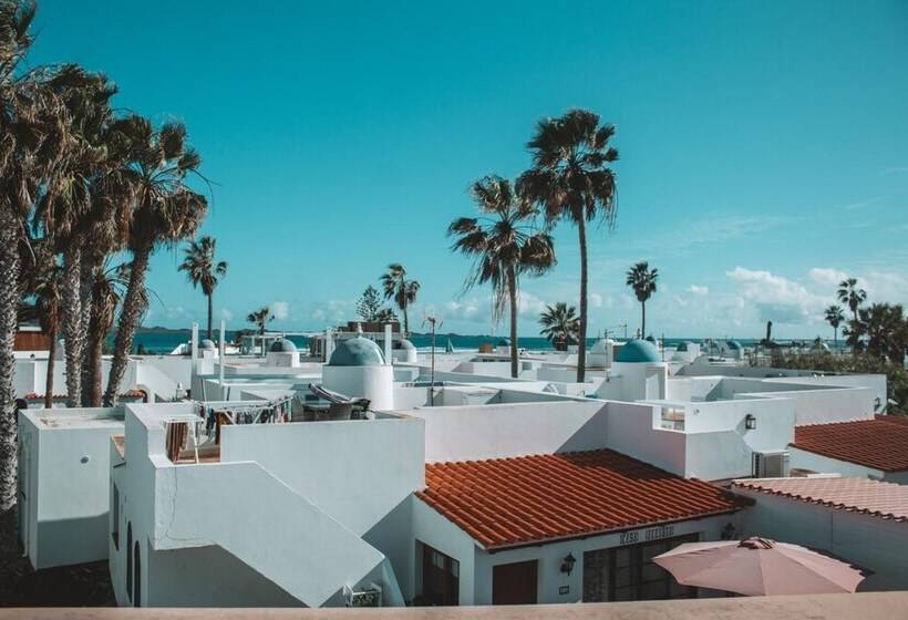 هاستل International Surf Camp Only Surf