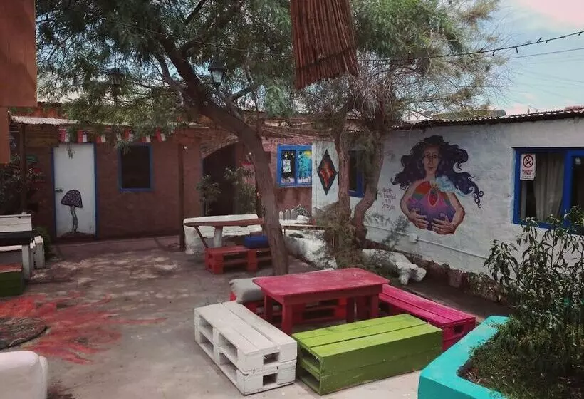 Hostal Atacama Tatais Hostel