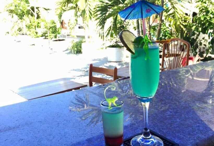 Hostal Palmeras Playa Milina