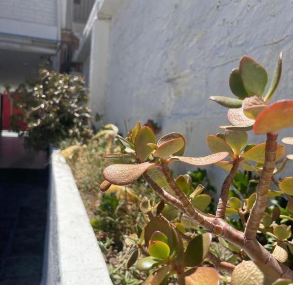 فندق Diaguitas Illapel