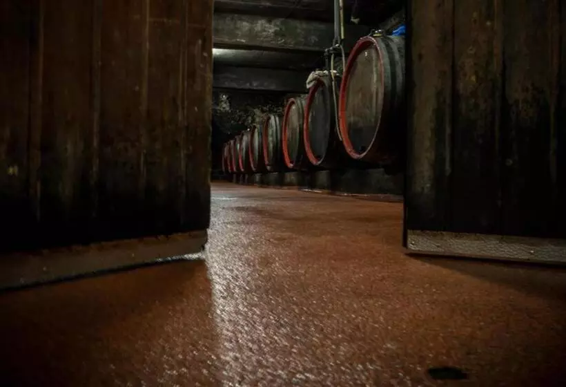 ホテル Weingut Tiliahof