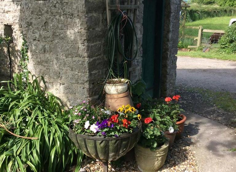 住宿加早餐 Poplar Farm