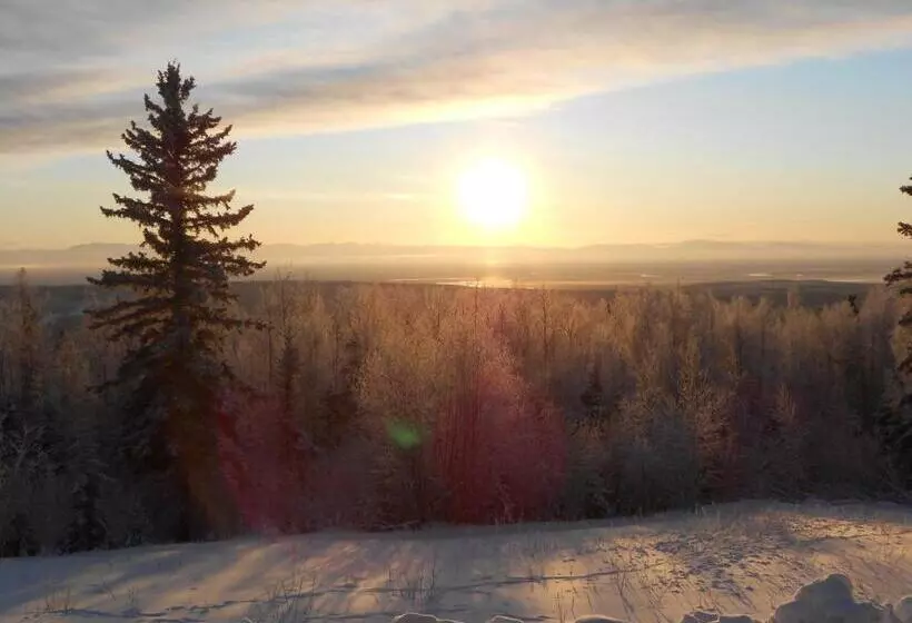Denali Primrose Bed & Breakfast