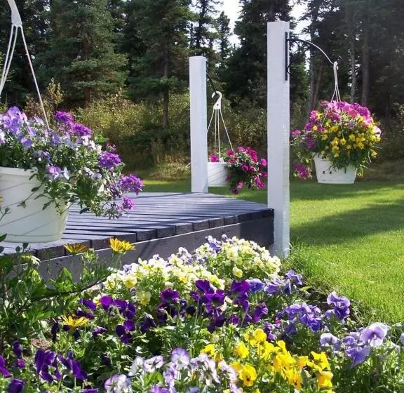 Denali Primrose Bed & Breakfast