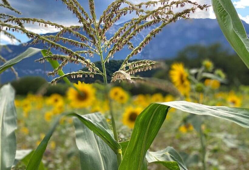 호텔 Garni Christin