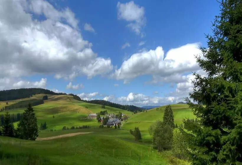 ホテル Derwaldfrieden Naturpark