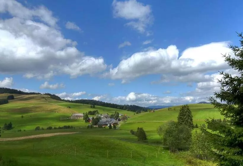 ホテル Derwaldfrieden Naturpark