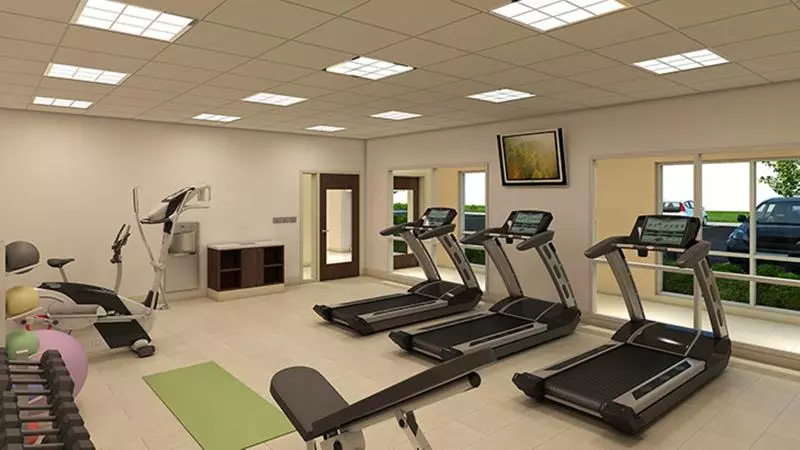 ホテル Holiday Inn Express & Suites Houston Sw   Galleria Area By Ihg