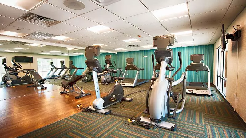 ホテル Holiday Inn Express & Suites Houston Sw   Galleria Area By Ihg