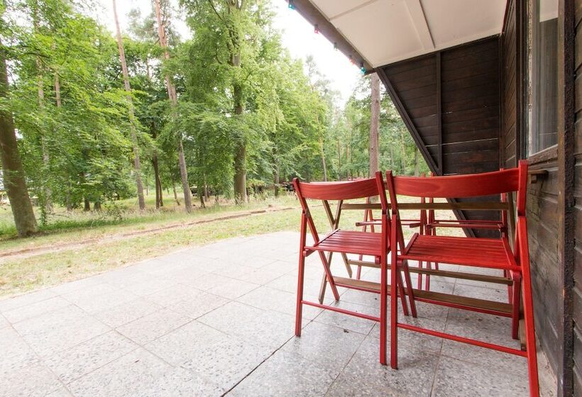 リゾートホテル Natura Ferienpark - Bungalows Am Grimnitzsee Schorfheide