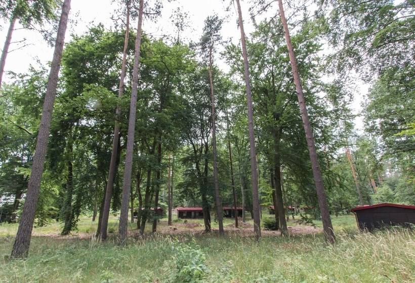 リゾートホテル Natura Ferienpark - Bungalows Am Grimnitzsee Schorfheide