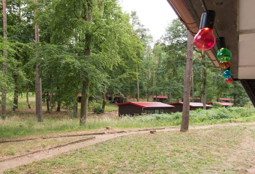 リゾートホテル Natura Ferienpark - Bungalows Am Grimnitzsee Schorfheide