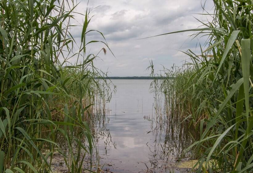 リゾートホテル Natura Ferienpark - Bungalows Am Grimnitzsee Schorfheide
