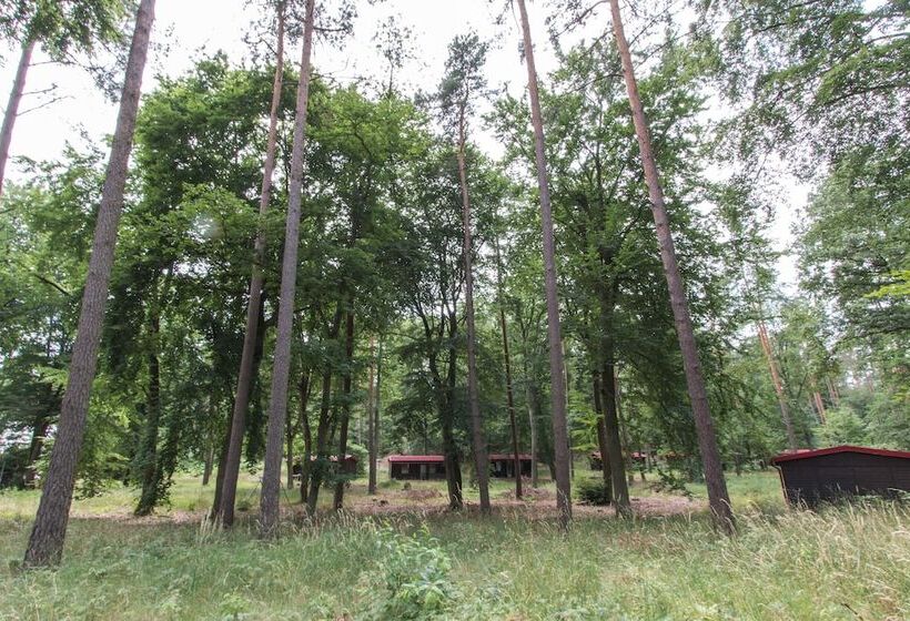リゾートホテル Natura Ferienpark - Bungalows Am Grimnitzsee Schorfheide