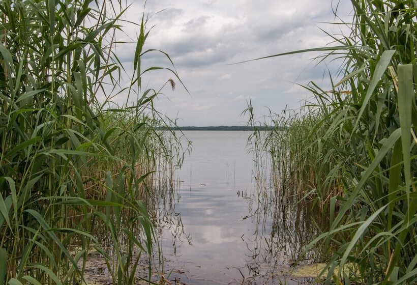 リゾートホテル Natura Ferienpark - Bungalows Am Grimnitzsee Schorfheide