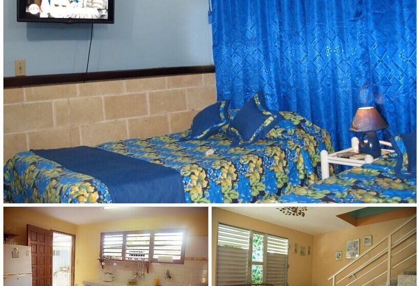 پانسیون Mara Hostal