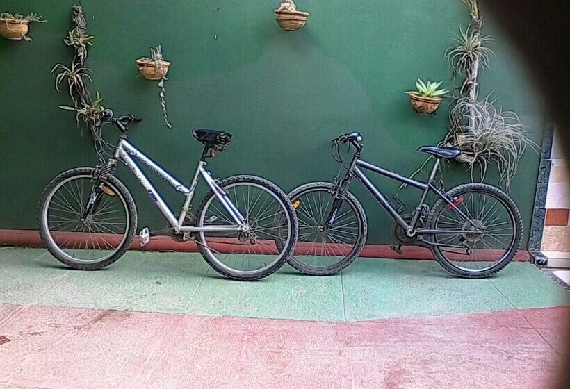 پانسیون Mara Hostal