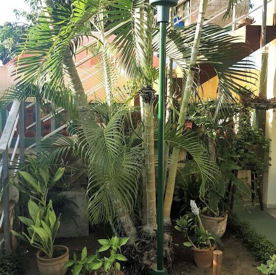 پانسیون Mara Hostal