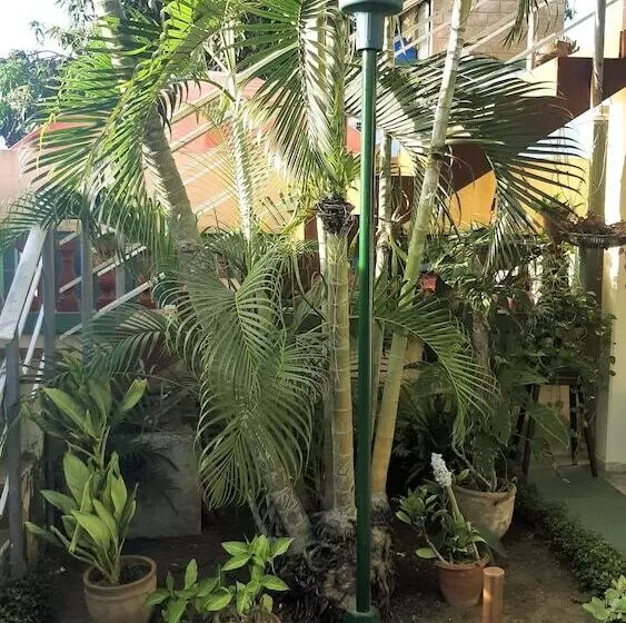 ペンション Mara Hostal
