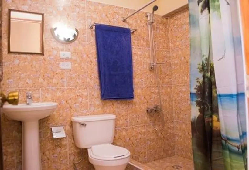 ペンション Hostal Colonial Alelusa