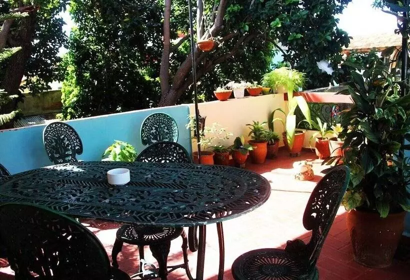 ペンション Hostal La Zoyla Trinidad