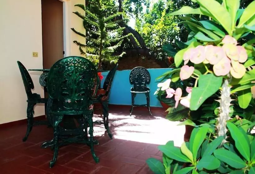 ペンション Hostal La Zoyla Trinidad