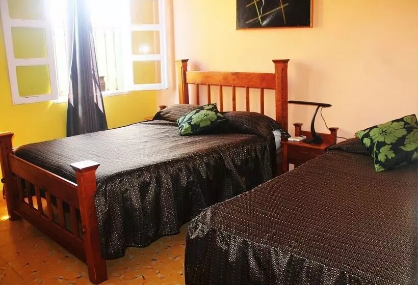 ペンション Hostal La Zoyla Trinidad