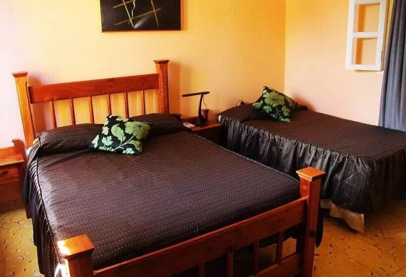ペンション Hostal La Zoyla Trinidad
