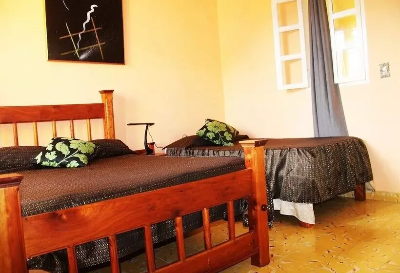 ペンション Hostal La Zoyla Trinidad
