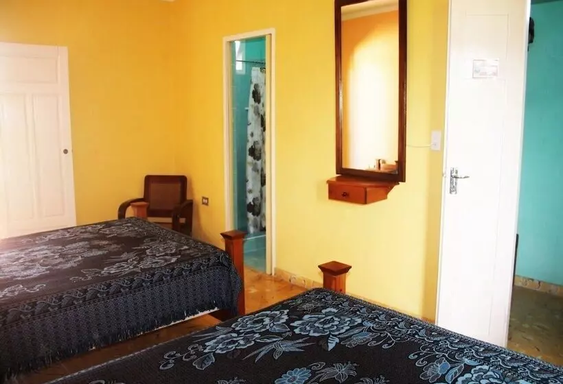 ペンション Hostal La Zoyla Trinidad