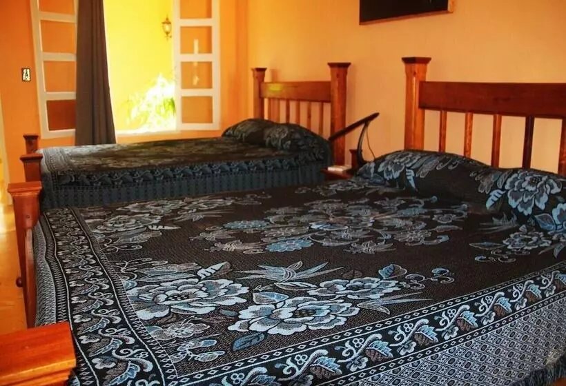 ペンション Hostal La Zoyla Trinidad