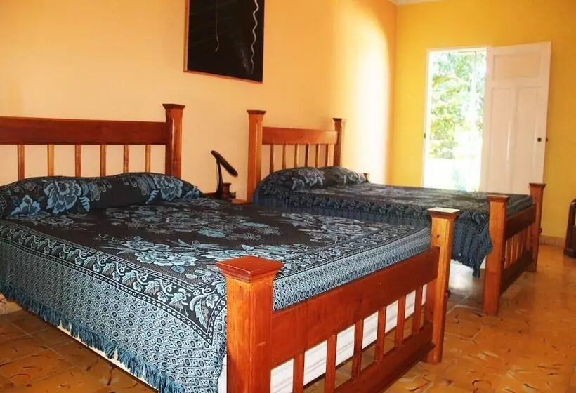 ペンション Hostal La Zoyla Trinidad