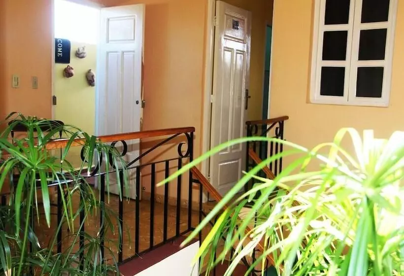 ペンション Hostal La Zoyla Trinidad