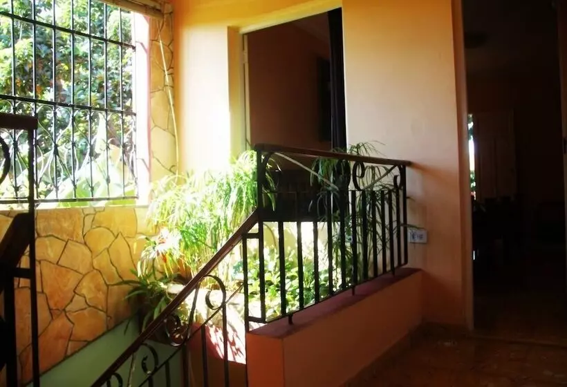 ペンション Hostal La Zoyla Trinidad
