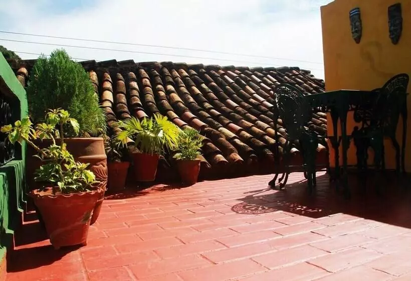 ペンション Hostal La Zoyla Trinidad