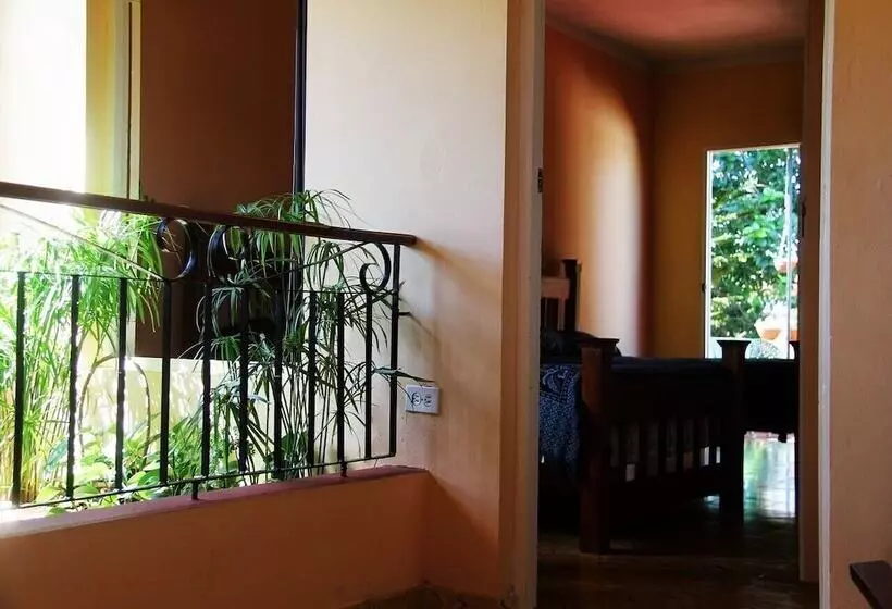 ペンション Hostal La Zoyla Trinidad