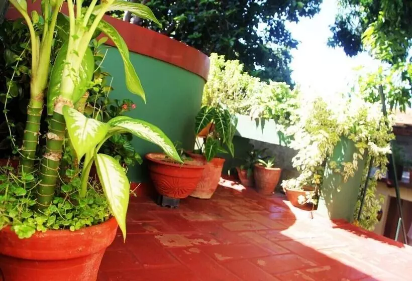 ペンション Hostal La Zoyla Trinidad