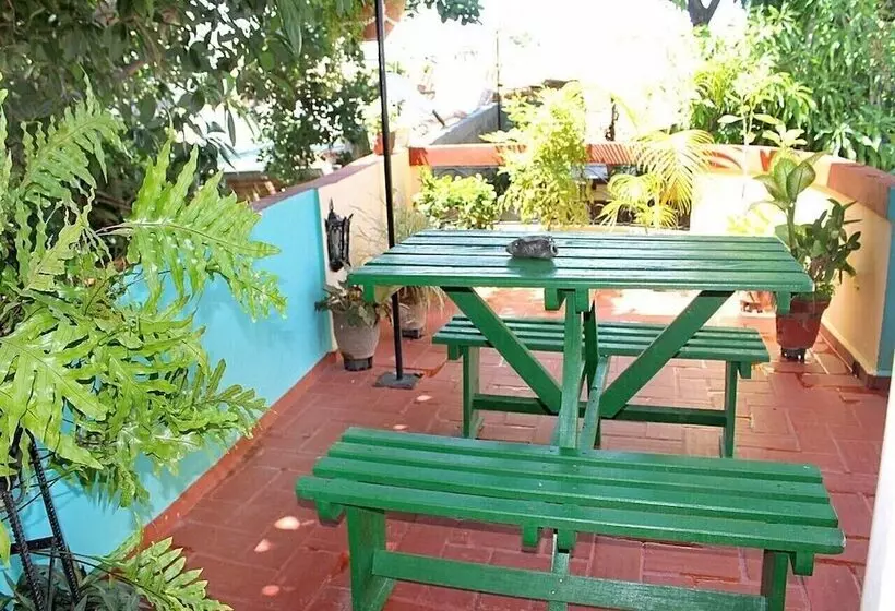 ペンション Hostal La Zoyla Trinidad