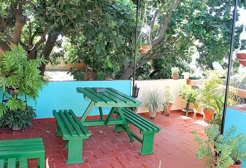 ペンション Hostal La Zoyla Trinidad