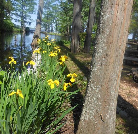 مبيت وإفطار The Pond House Inn