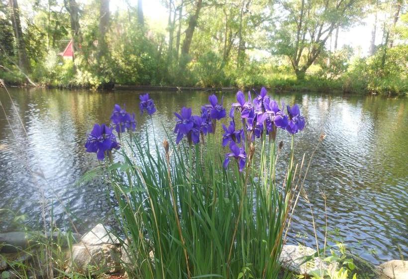 مبيت وإفطار The Pond House Inn