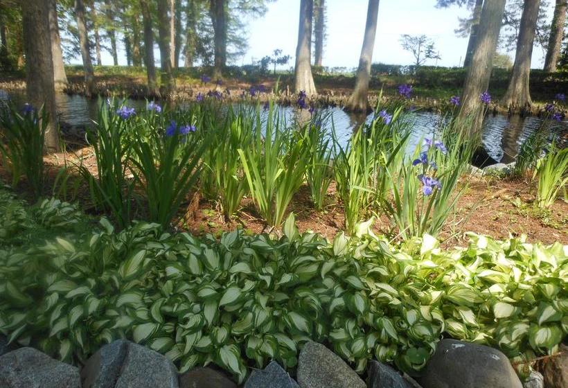 مبيت وإفطار The Pond House Inn