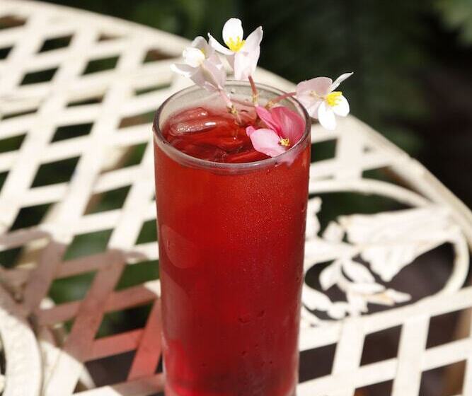 فندق Life House, Little Havana