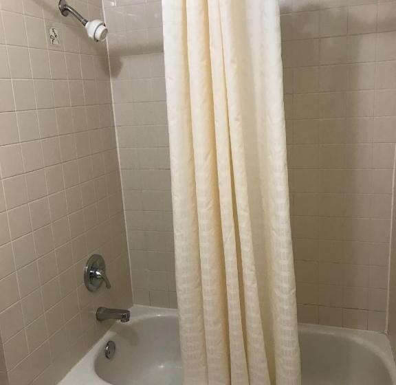 汽车旅馆  Budget Inn Of Brownfield