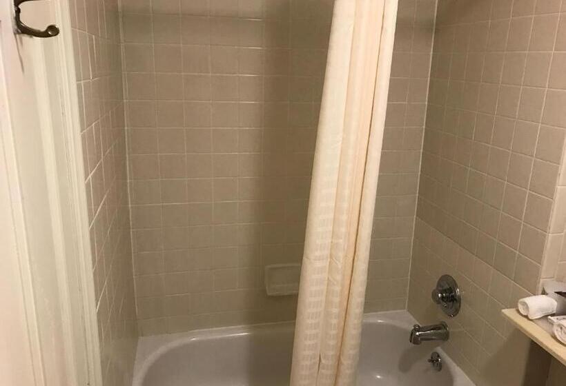 汽车旅馆  Budget Inn Of Brownfield